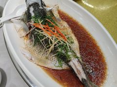 -鹭园酒家·四十年老字号