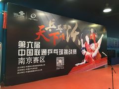 -南京奥林匹克体育中心-体育馆