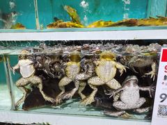 -盒马鲜生(枣园路店)
