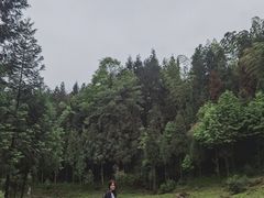 -龙窝子
