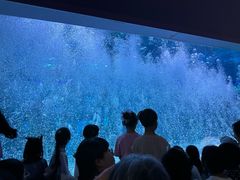 -台州海洋世界