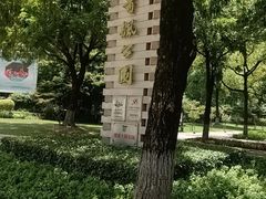 -青枫公园