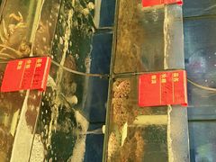 -渔中舟海鲜大排档(普陀沈家门店)