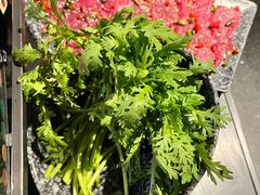 -新哥老官·畅吃123·美蛙世界(苏宁广场店)