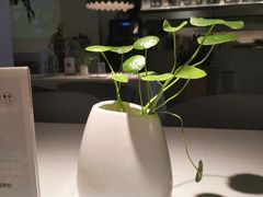 -春树下·树屋花房西餐厅(罍街AS1980店)