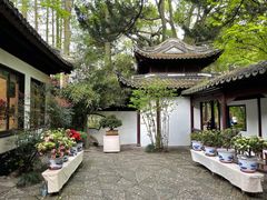 -汇龙潭