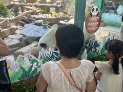 -灵玲国际马戏城