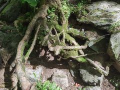 -神农架景区