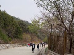 -北京西山国家森林公园