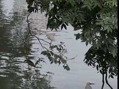 -成都市活水公园