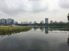 -莲花池公园