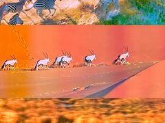 -罗红摄影艺术馆