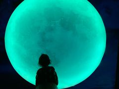 -天津梵高星空艺术馆(天河城旗舰店)