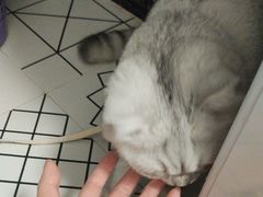 -瑞派康怡24h宠物医院·犬猫医疗中心·微创绝育(瑞景分院)