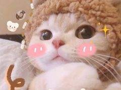 -爱啤精酿·民谣酒馆(滨江店)