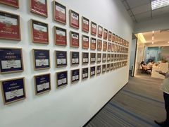 -菠萝国际教育专注Alevel·IGCSE·IB·AP·托福雅思培训辅导(静安校区)