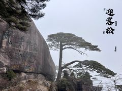-黄山风景区