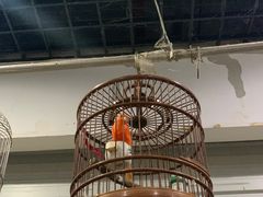 -苏州艺都古玩花鸟市场