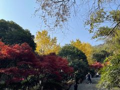 -岳麓山风景名胜区