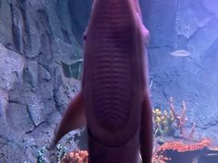 -秦皇岛新澳海底世界
