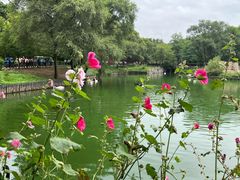 -沈阳森林动物园