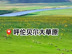 -呼伦贝尔大草原