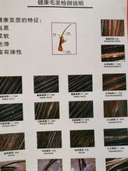 -丝域养发馆