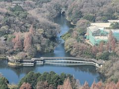 -九曜山