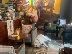 -咖法森林·咖啡  酒吧(天河店)