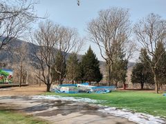 -北京西山国家森林公园