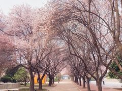 -秦始皇帝陵博物院(兵马俑)