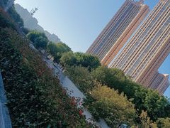 -八仙山公园