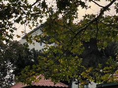 -八大关景区