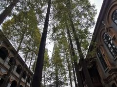 -华东政法大学(松江校区)