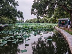 -北陵公园