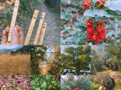 -杭州半山国家森林公园