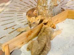 -北京野生动物园