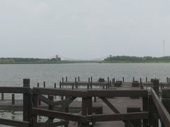-西青郊野公园