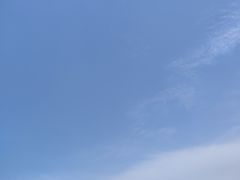 -白水寺森林公园