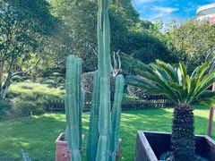 -花到家(富贵鸟花艺行)