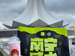-南宁国际会展中心(会展东博文化旅游区)
