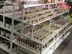 -KKV(深圳宏发大仟里店)