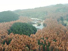 -山王坪喀斯特国家生态公园