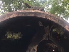 -南昌动物园
