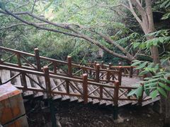 -北京凤凰岭