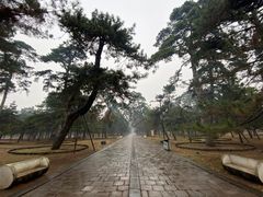 -沈阳市东陵公园