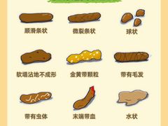 -申普宠物医院·心脏介入·心血管微创(总院)