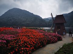 -广州市石门国家森林公园