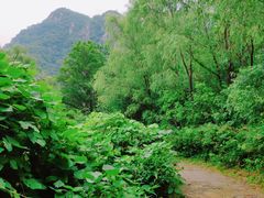 景点-大连冰峪旅游度假区