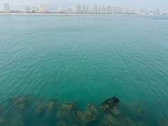 -星光岛